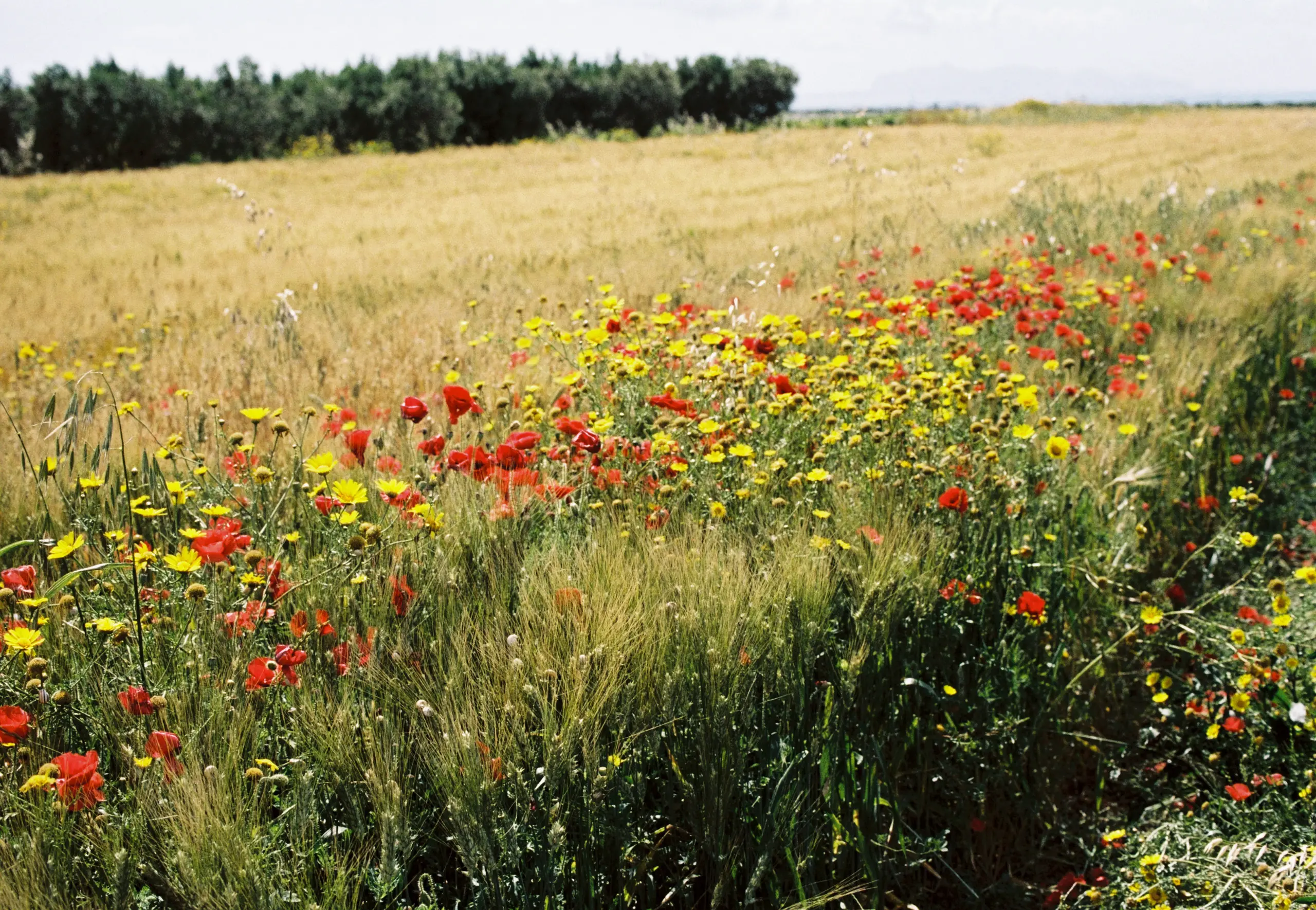 La Biosthetique Corporate CSR 14